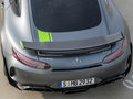 奔馳AMG GT AMG GT R Pro2019款