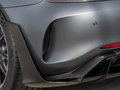 奔馳AMG GT AMG GT R Pro2019款