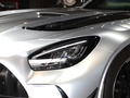 奔驰AMG GT AMG GT BlackSeries2021款