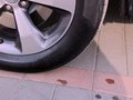 自由光 图片