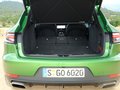 Macan 图片