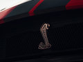 Mustang 图片