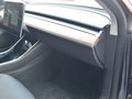 MODEL 3 (进口) 图片