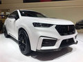 魏牌 RS7 基本型2019款