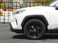 RAV4荣放 图片