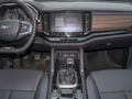 域虎9 2.0T手动两驱舒享型2019款