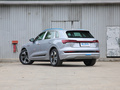 奥迪e-tron(进口) 55 quattro技术型2019款