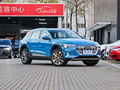 奥迪e-tron(进口) 55 quattro 全球限量版Edition12019款
