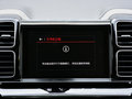天逸 C5 AIRCROSS 图片