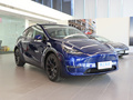 Model Y 长续航全轮驱动版2021款