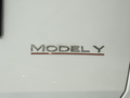 Model Y 图片