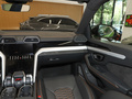 Urus 图片