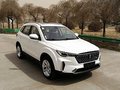 奔腾T33 1.6L 手动豪华型国V2019款