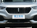 魏牌 VV6 2.0T 两驱超豪型国VI2019款
