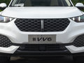 魏牌 VV6 图片