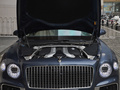 飞驰 6.0T W12标准版2020款