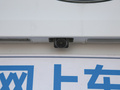 小蚂蚁 图片
