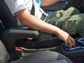 小蚂蚁 图片