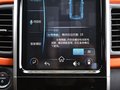 小蚂蚁 图片