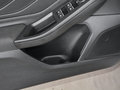福克斯 图片