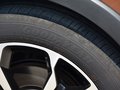 福克斯Active 圖片