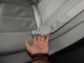 金牛座 圖片