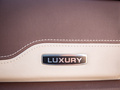 炮乘用皮卡 图片
