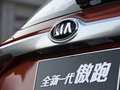 赛图斯 图片