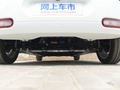 欧拉白猫 图片