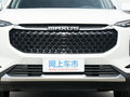 上汽大通MAXUS D60 图片
