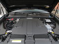 奥迪Q8 45 TFSI 甄选动感型2019款