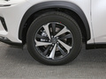 雷克萨斯NX 300h 全驱 锋致版国VI2020款