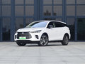 唐新能源 DM 2.0T 双擎四驱尊贵型 7座国VI2020款