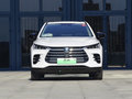 唐新能源 DM 2.0T 双擎四驱尊贵型 7座国VI2020款