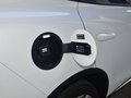 唐新能源 DM 2.0T 双擎四驱尊贵型 7座国VI2020款