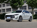 传祺GA8 390T 至尊版2020款
