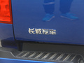 炮商用皮卡 图片