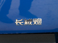 炮商用皮卡 图片