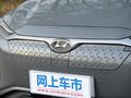 昂希诺 纯电动 图片