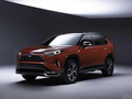 豐田RAV4 PHEV（進口） 2.5L 基本型2020款