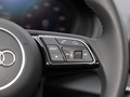 奥迪Q2L e-tron 图片
