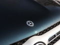 奔驰GLS GLS 450 4MATIC豪华型2020款