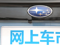森林人 图片