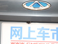 小蚂蚁 图片