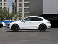 Macan Macan Turbo2.9T2020款