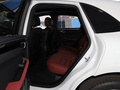 Macan Macan Turbo2.9T2020款
