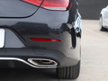 奔驰CLS CLS 300动感型2020款