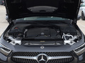 奔驰CLS CLS 300动感型2020款