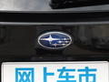 傲虎 图片