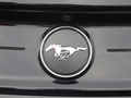 Mustang 圖片